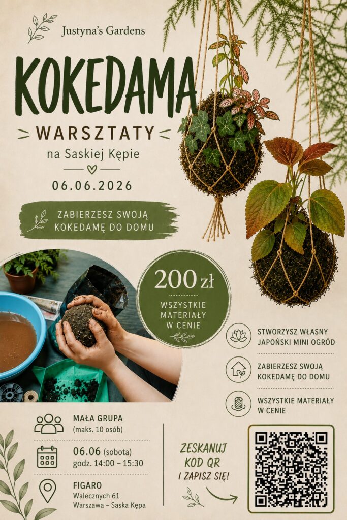 Warsztaty tworzenia Kokedamy kokedama warsztaty